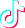 TikTok Logo